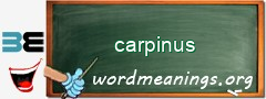 WordMeaning blackboard for carpinus